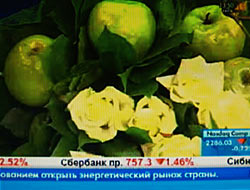 Время цветов