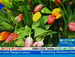 РБК ТВ