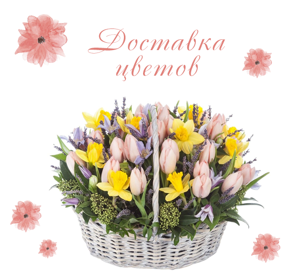 Фотографии цветов на 8 марта Фотографии цветов на 8 марта