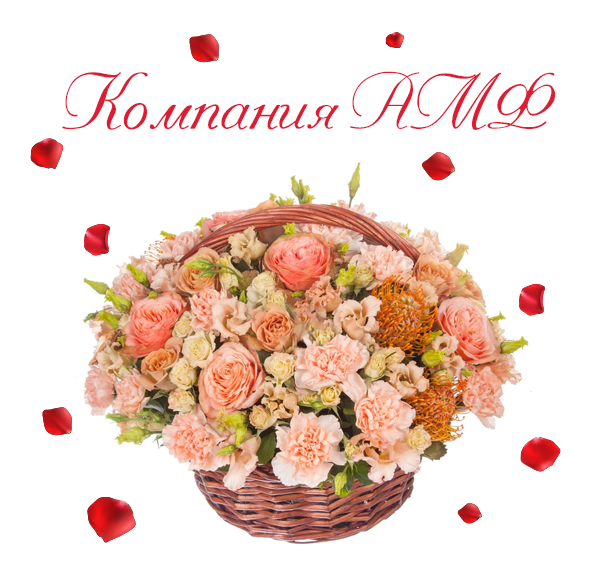 Фото кремовых роз
