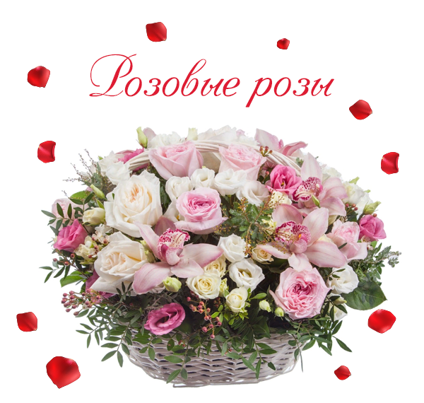 Картинка розовых роз