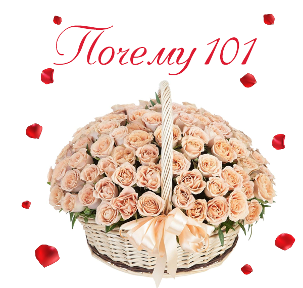 Картинка 101 розы
