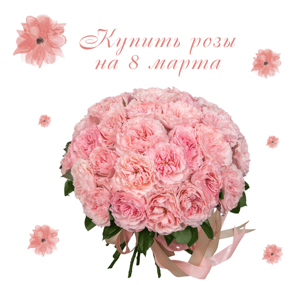 Фото купленных роз на 8 марта