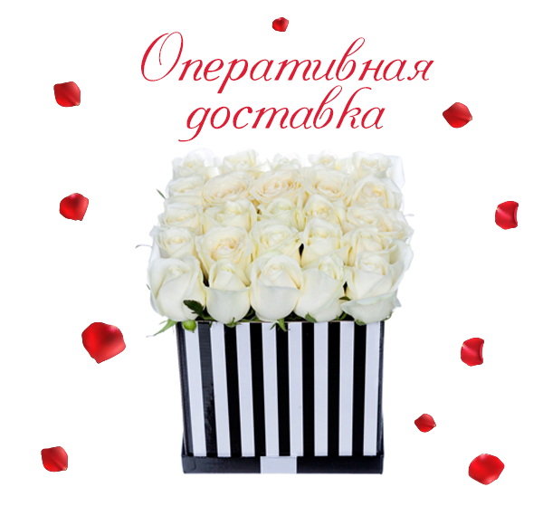 Фото доставленных белых роз