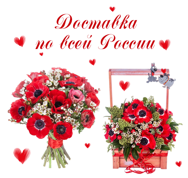 Фото цветов для покупки