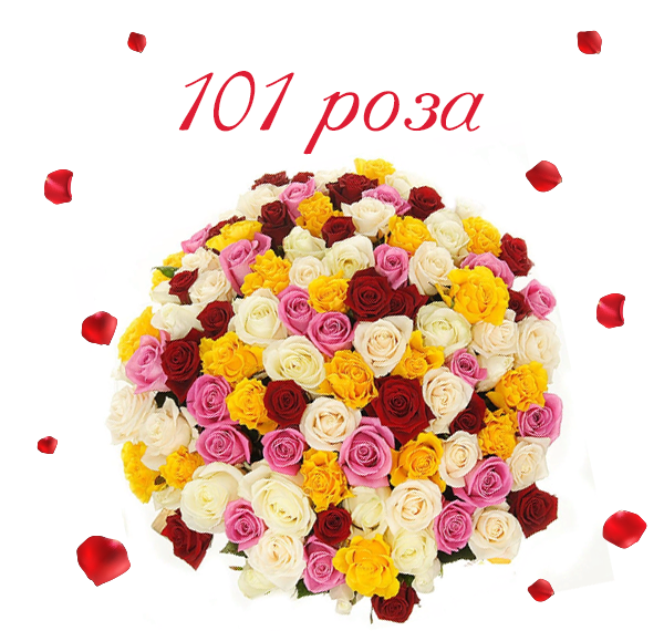 Фото шикарной 101 розы от AMF