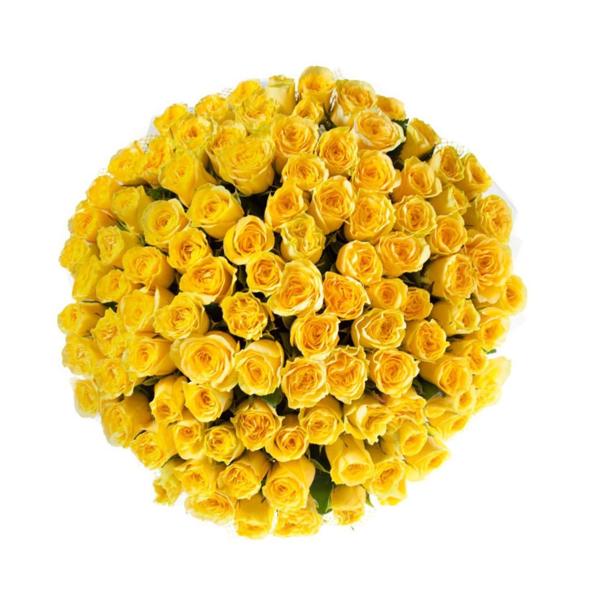 Большие букеты желтых роз
