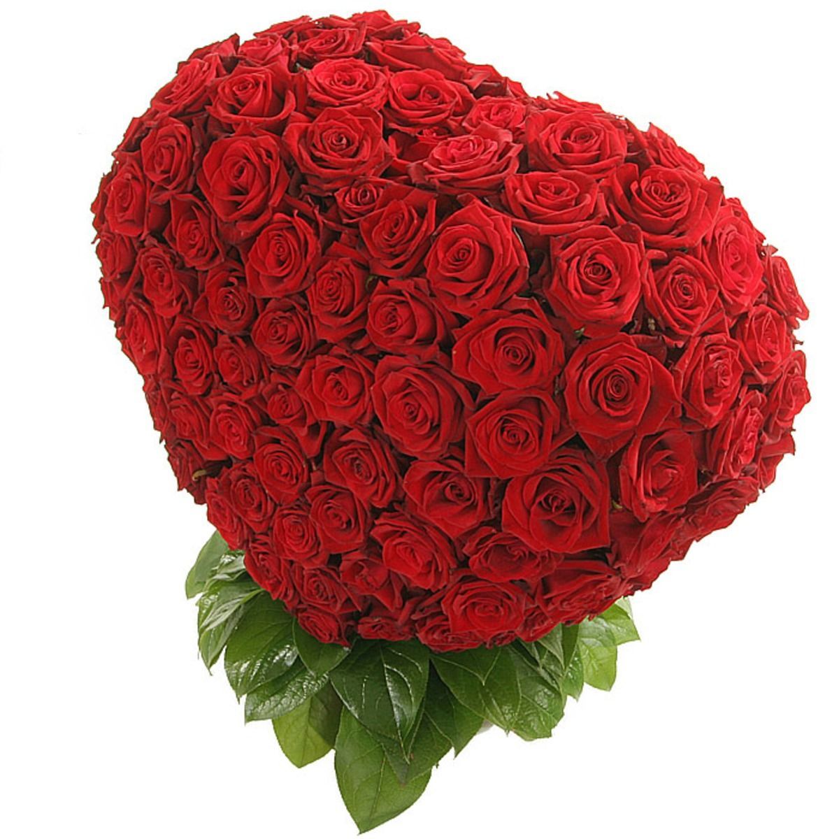 Красивые букеты красных роз для любимой