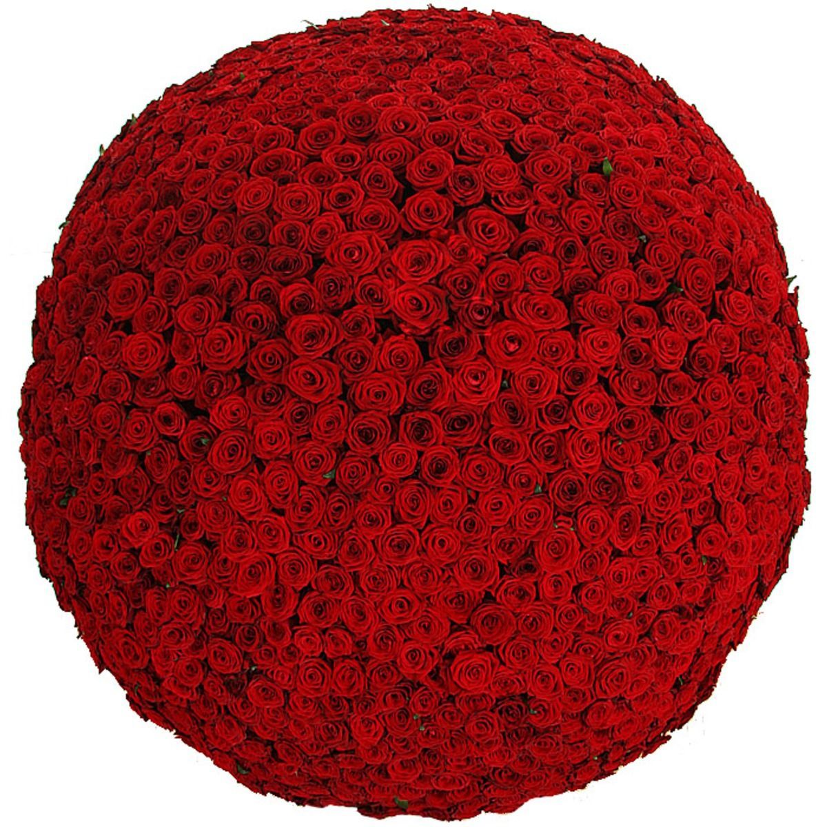 Сколько стоит букет цветов роз. Огромный букет. Большие круглые букеты.