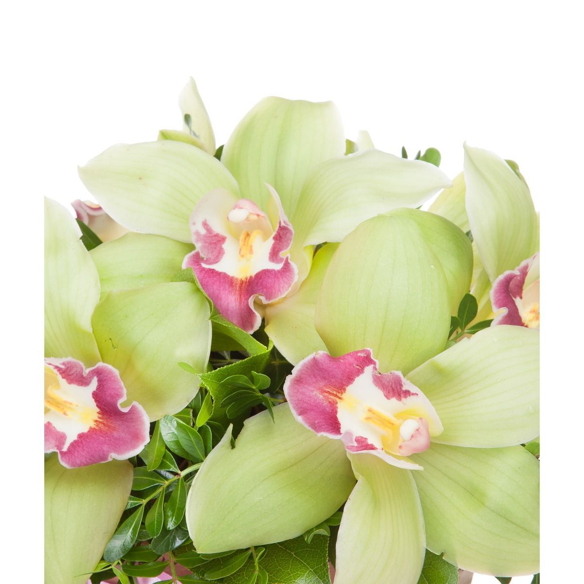 Композиции с орхидеями Цимбидиум