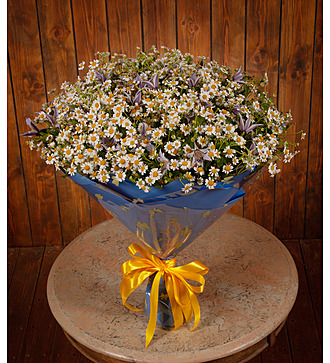 Bouquet-duet "Beauty of sound"