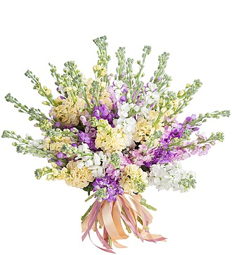 Букет "Matthiola"