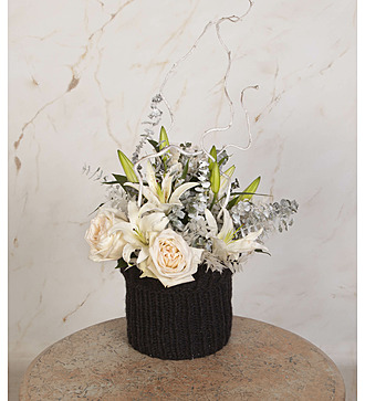 Композиция "Первые морозы"