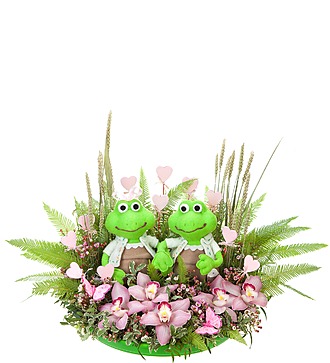 Composition "Froggy"
