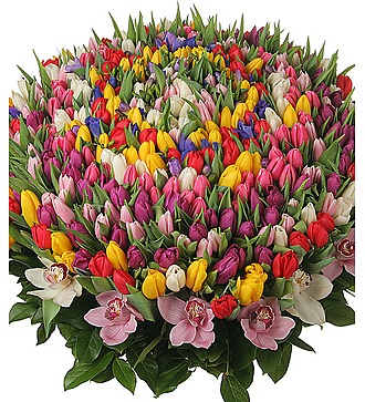 Happy Spring