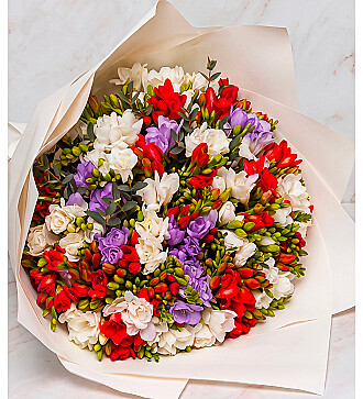 Bouquet-solo of fragrant freesias (25, 35, 51, 75 or 101)