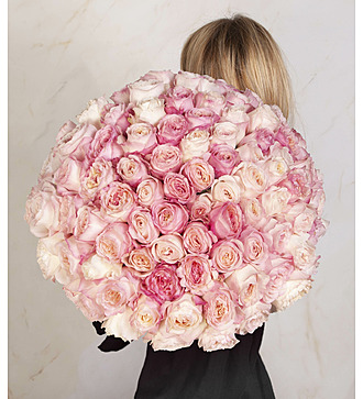 Букет-соло роз David Austin Keira (51, 75 или 101)