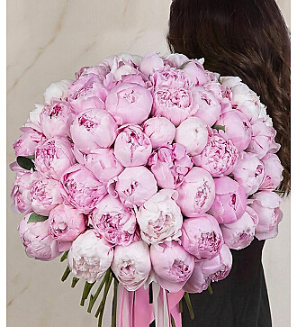 Bouquet of peonies "Sara Bernard" (51 or 101)