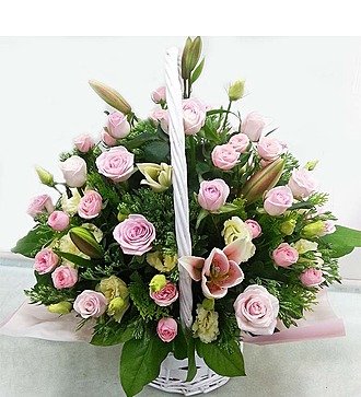 Ladybug arrangement