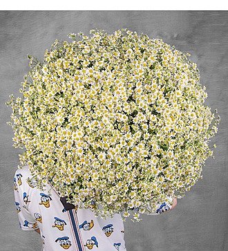 Bouquet #WOW28