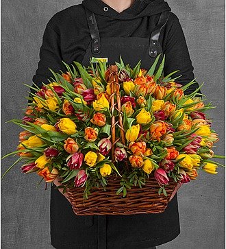 Composition of 151 tulips "All for you!"