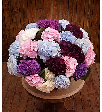 Bouquet-quartet "Multicolored clouds"