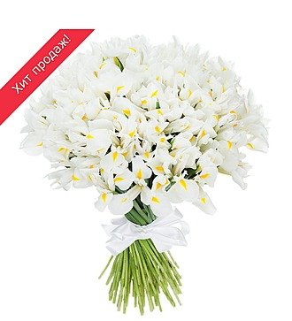Букет ирисов "White Magic" (25, 51 или 101)