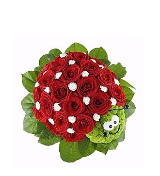 Божья коровка