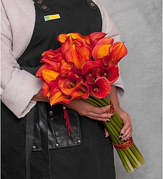 Bouquet of callas "Mango" (15, 25 or 35)