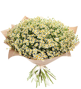 Bouquet "Daisies for a wonderful girl"