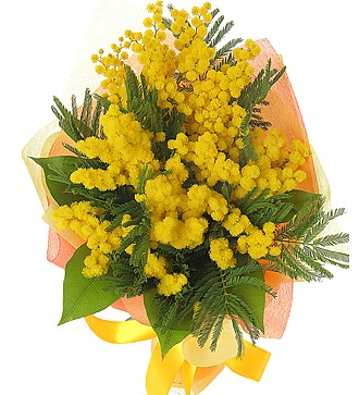 Букет "Мимоза"