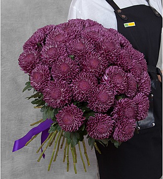 Букет одноголовых хризантем Bigoudi Purple (21, 35 или 51)