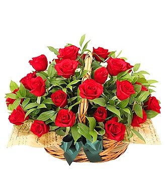 Ladybug arrangement