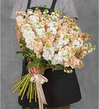 Bouquet "Cappuccino" (15, 25 or 51)