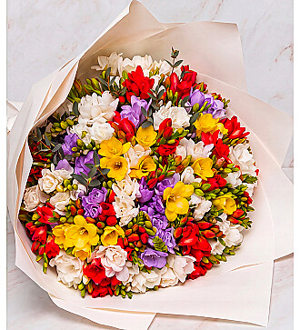 Bouquet-solo of multi-colored freesias (25, 35, 51, 75 or 101)