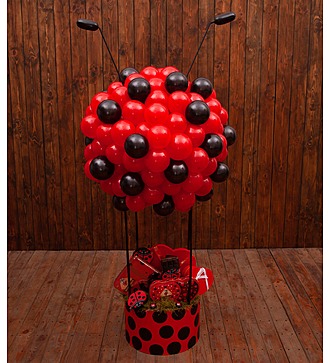 Gift box "Ladybug"