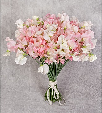 Bouquet "Aurora" (25, 51 or 101 lathirus)