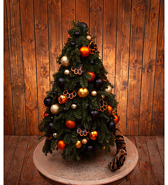 Christmas tree "Tiger" (50.80 or 110 cm)