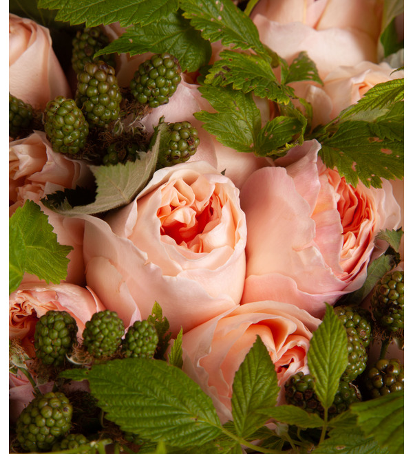 Букет-соло пионовидных роз David Austin Juliet (15,25,35,51,75 или 101) – фото № 2
