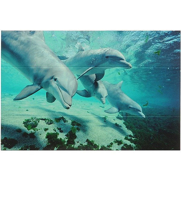Открытка 3D Дельфины – фото № 1