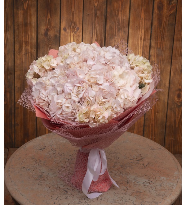 Bouquet-solo of cream hydrangeas (5,7,9,15,25 or 35) – photo #1