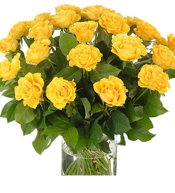 12 желтых роз (без вазы) NP 112.Yellow POK – фото № 2