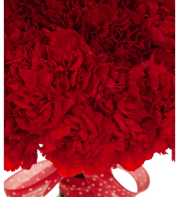 Bouquet-solo of red carnations (15,25,35,51,75 or 101) – photo #3