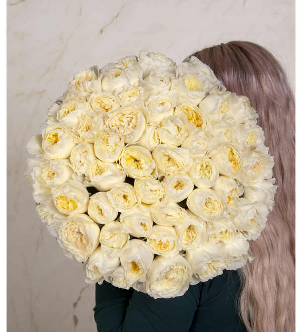 Букет-соло роз David Austin Patience (51, 75 или 101) – фото № 1