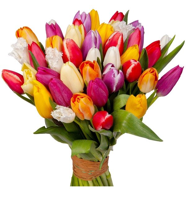 Букет из разноцветных тюльпанов (25 или 51) SKF25 NEW – фото № 1