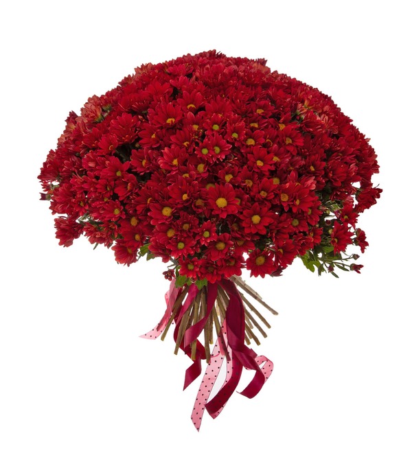 Bouquet-solo of red chrysanthemums (15,25,51,75 or 101) – photo #4