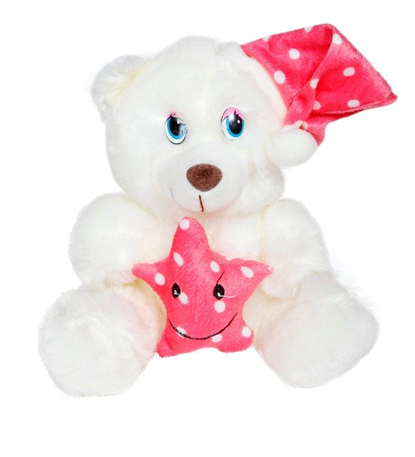 Мишка 24 см TOYRUS41 NOV – фото № 1