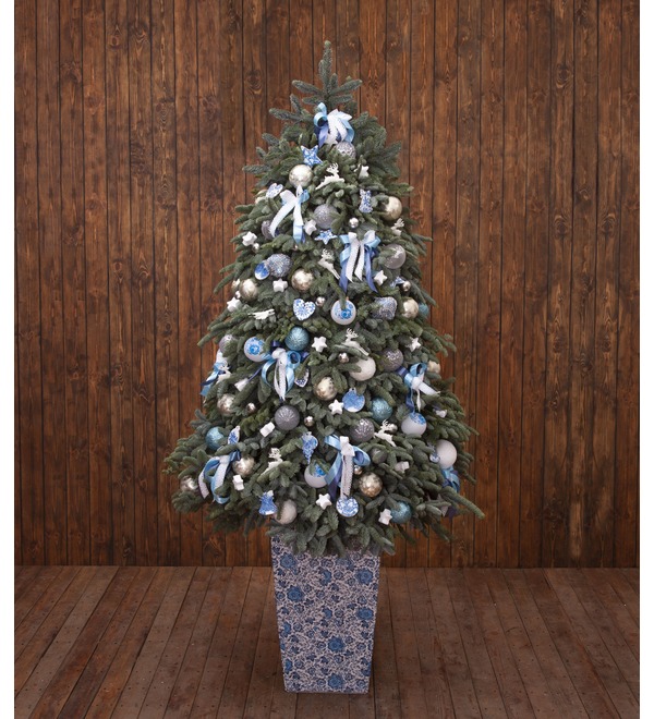 Christmas tree Russian winter (200 cm) – photo #1