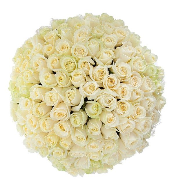 Букет из 101 белой розы Белое солнце UK BR202 WAT – фото № 2