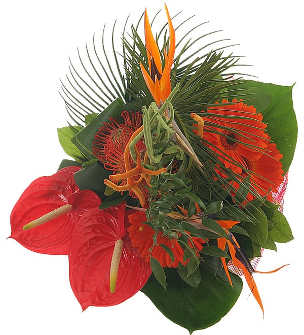 Mixed exotic flower bouquet FR BE368 STR – photo #2